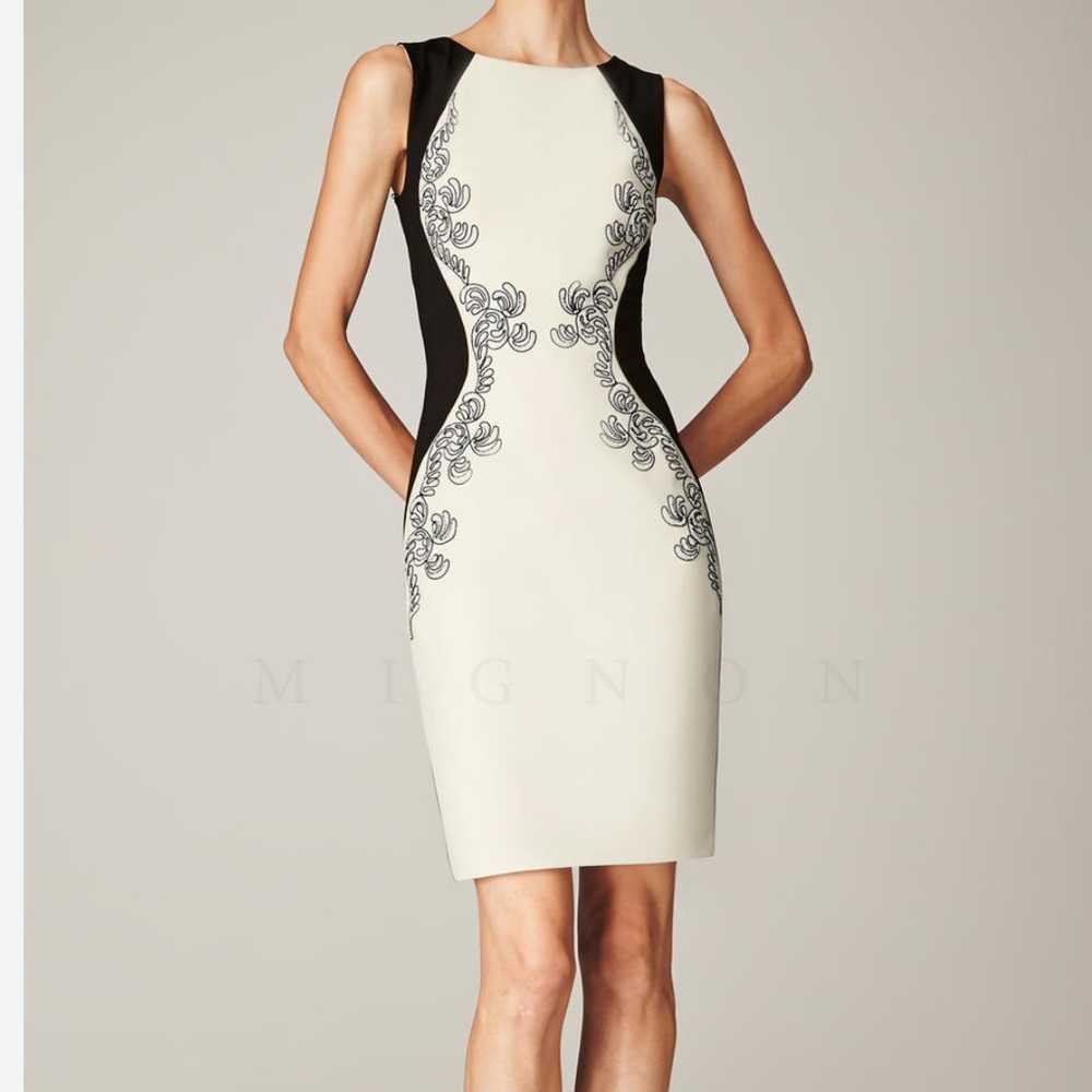 GORGEOUS mignon cocktail dress. Retails for $350 or more. Worn once.